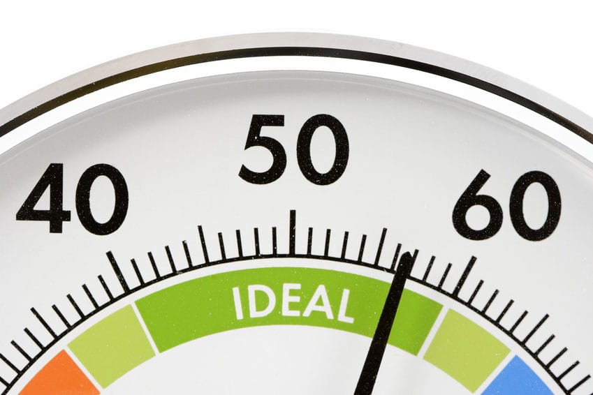 Best Hygrometer