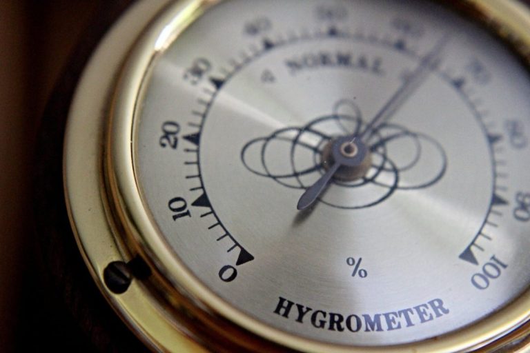 Choosing the Best Hygrometer for Your Needs
