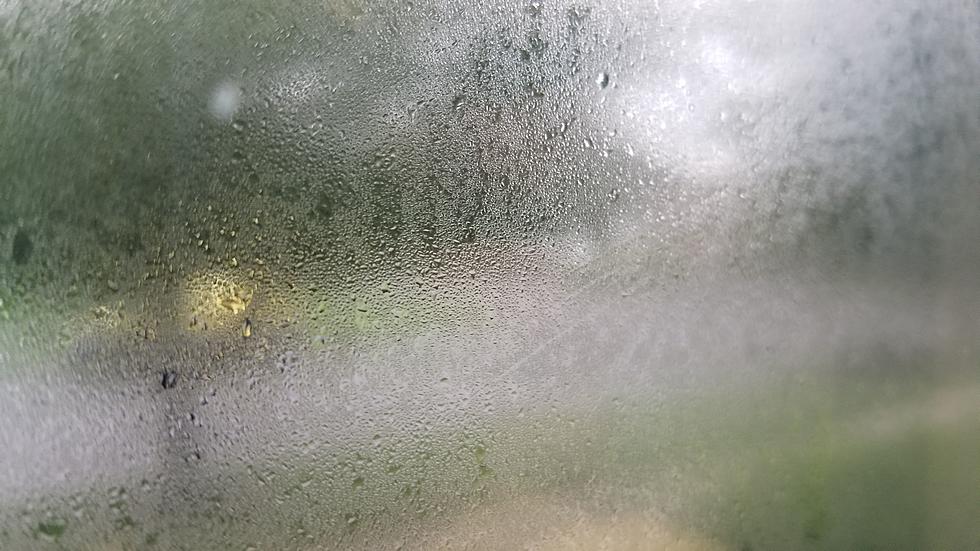 What is the humidity today